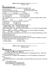 Kiểm tra học kỳ I môn hoá học 9 - Năm học 2010 - 2011 thời gian  15 phút